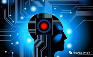 同質(zhì)化格局下，AI能否引爆智能手機(jī)行業(yè)創(chuàng)新？——人工智能應(yīng)用軟件開發(fā)的挑戰(zhàn)與機(jī)遇