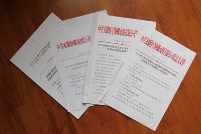 專業(yè)翻譯公司計算機技術(shù)開發(fā)領(lǐng)域文件翻譯流程