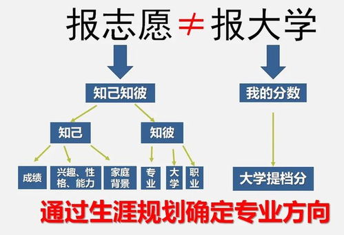 2024年報(bào)考志愿指南 計(jì)算機(jī)專業(yè)就業(yè)方向，鴻蒙開發(fā)與人工智能如何選擇？